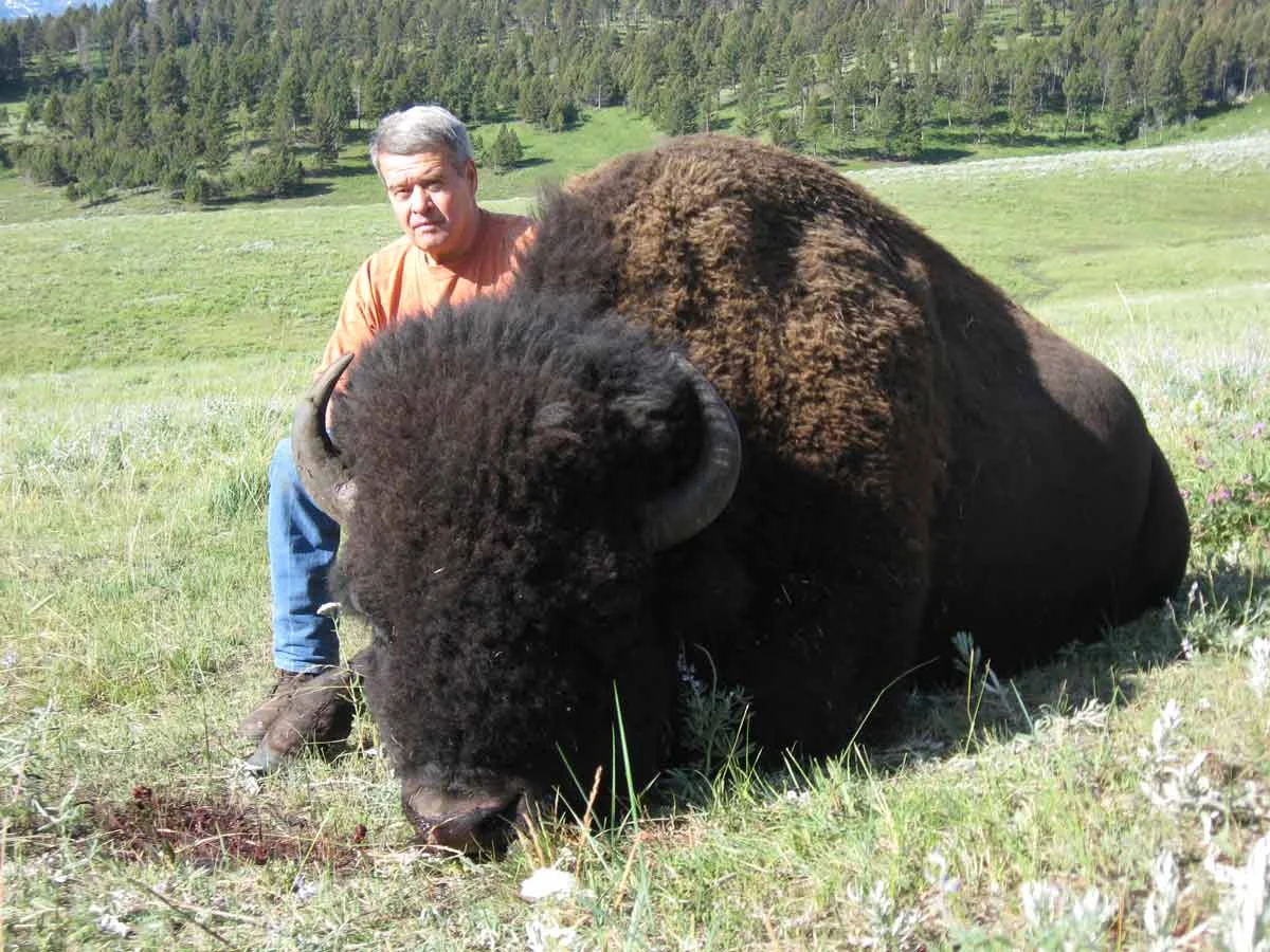 gdierufbuffalo.jpg