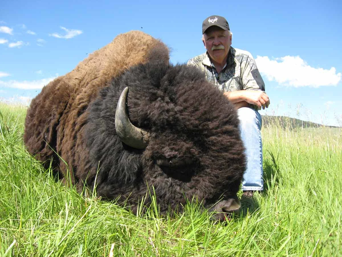 tmatzingerbuffalo.jpg