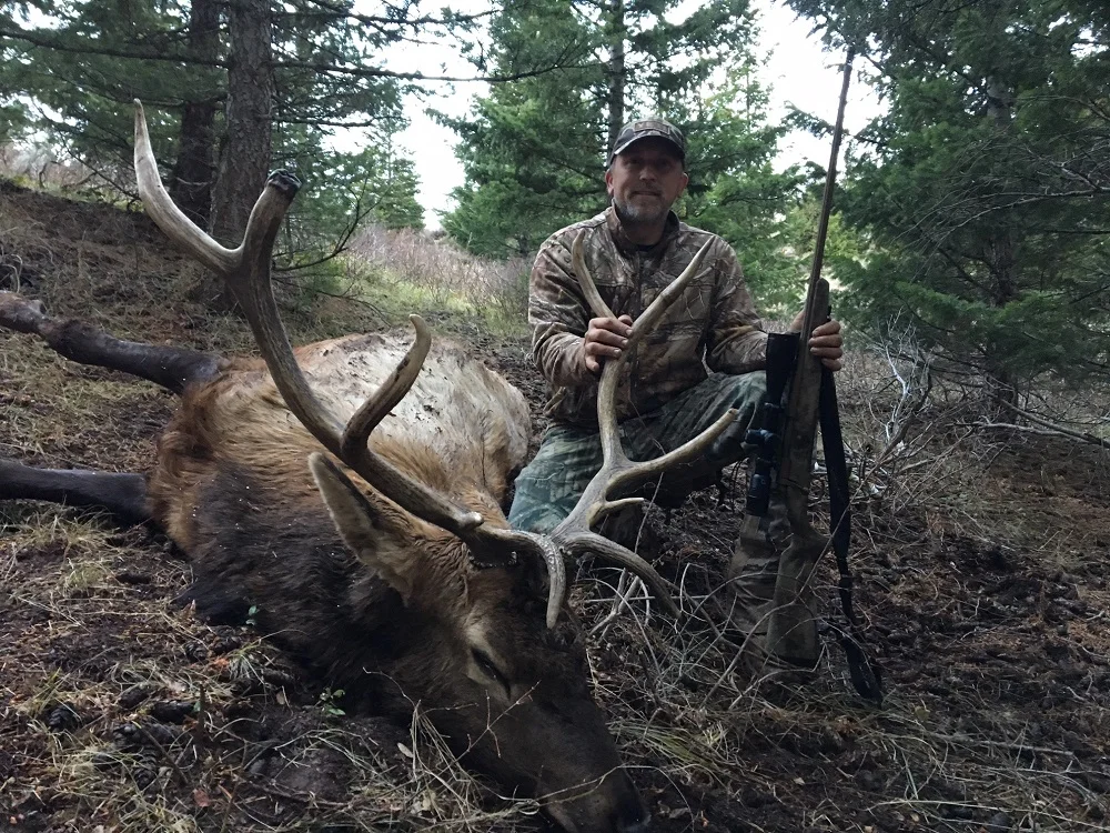 Author's 5x5 Idaho Self-guided bull elk