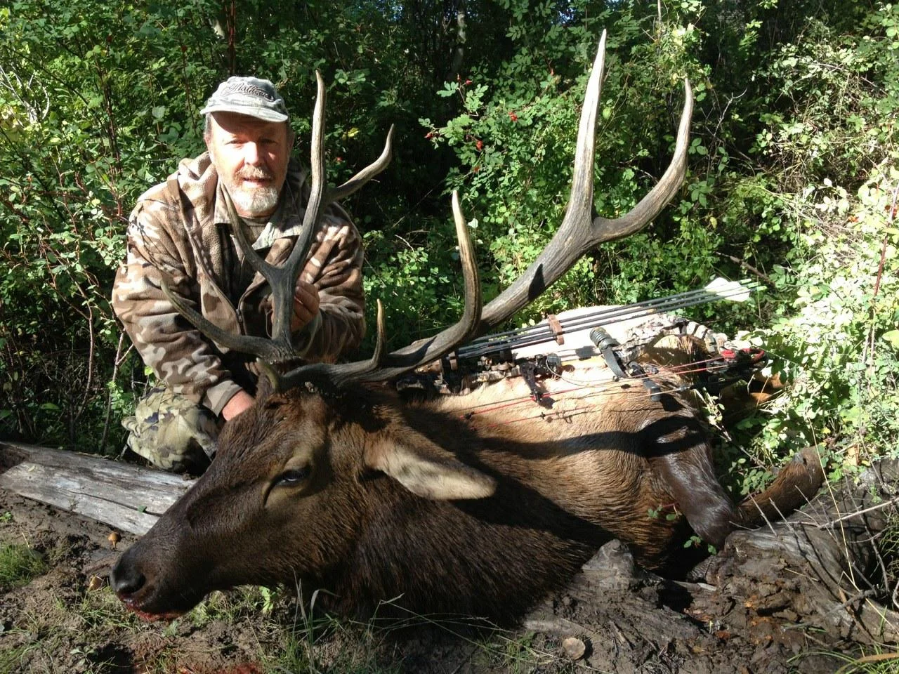 J D Emison with an OTC archery bull in Colorado