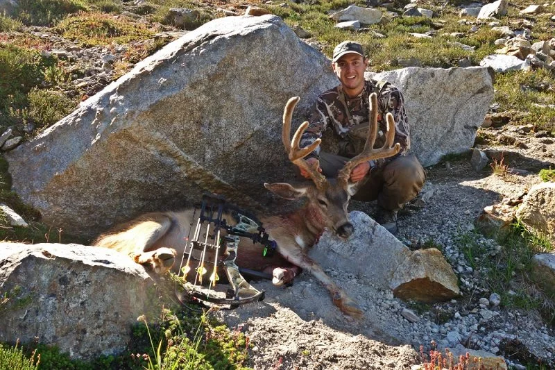 Pure-Gold-with-Backcountry-Buck.jpg