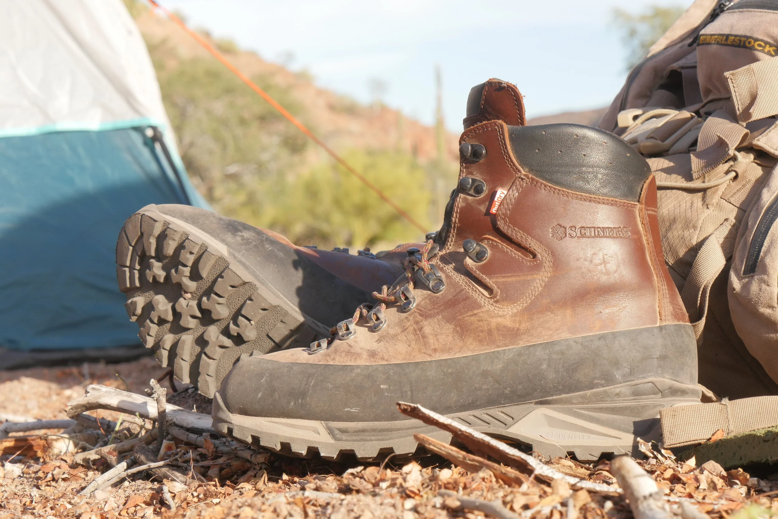 pleaser electra 2023