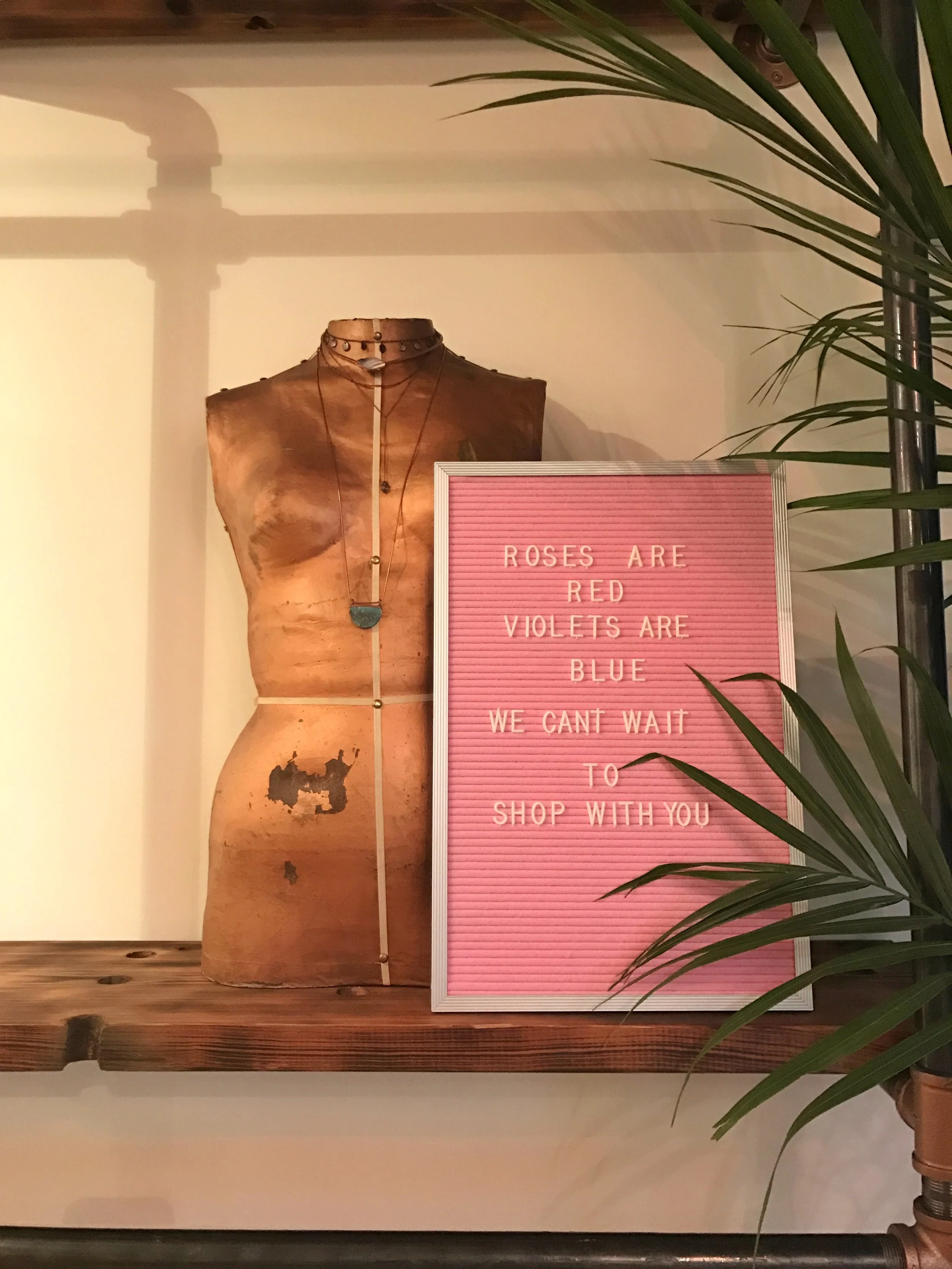 Agnes_Shop.jpg