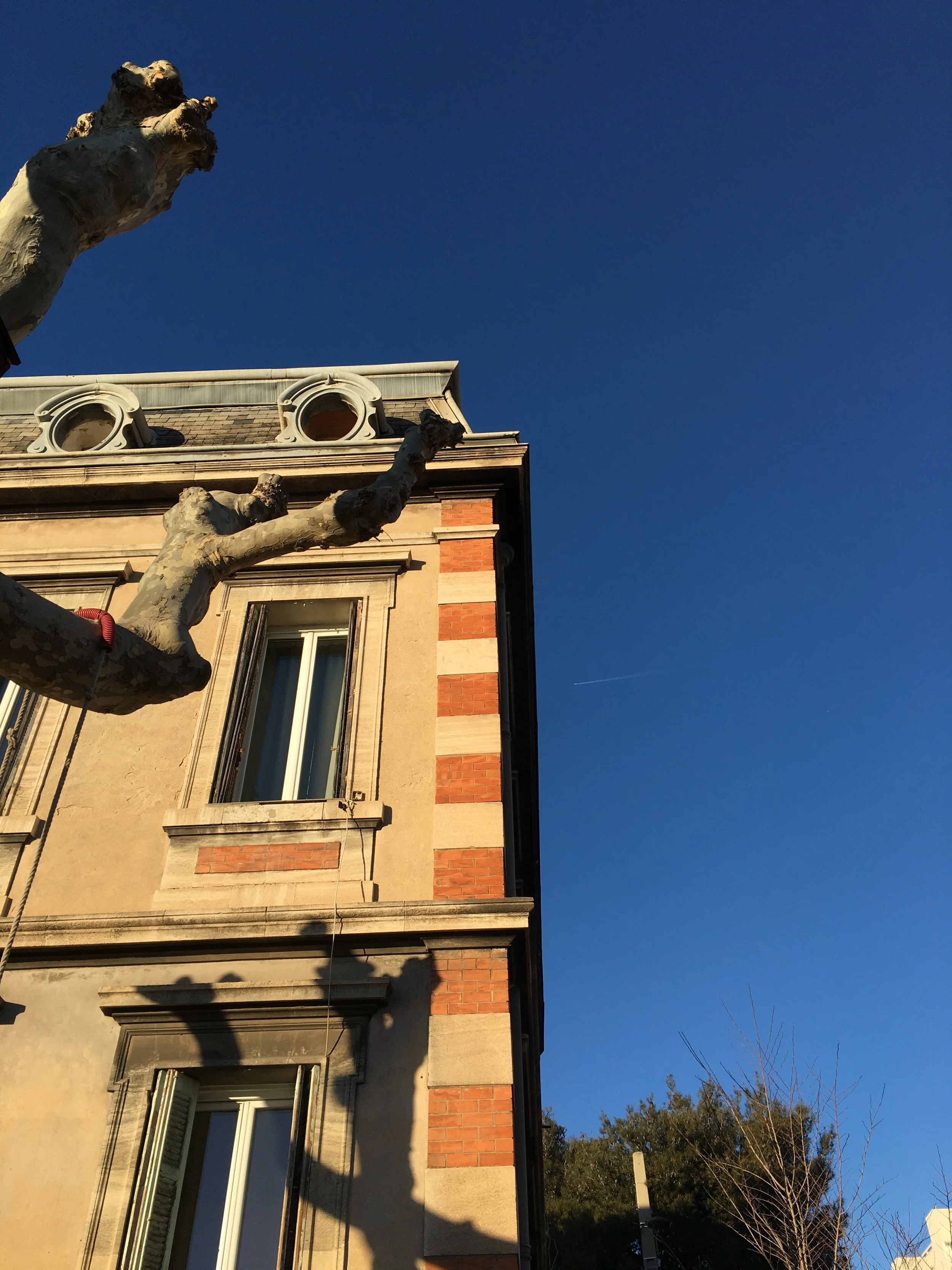 Le Parloir des plantes