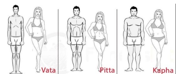 Doshas.jpeg