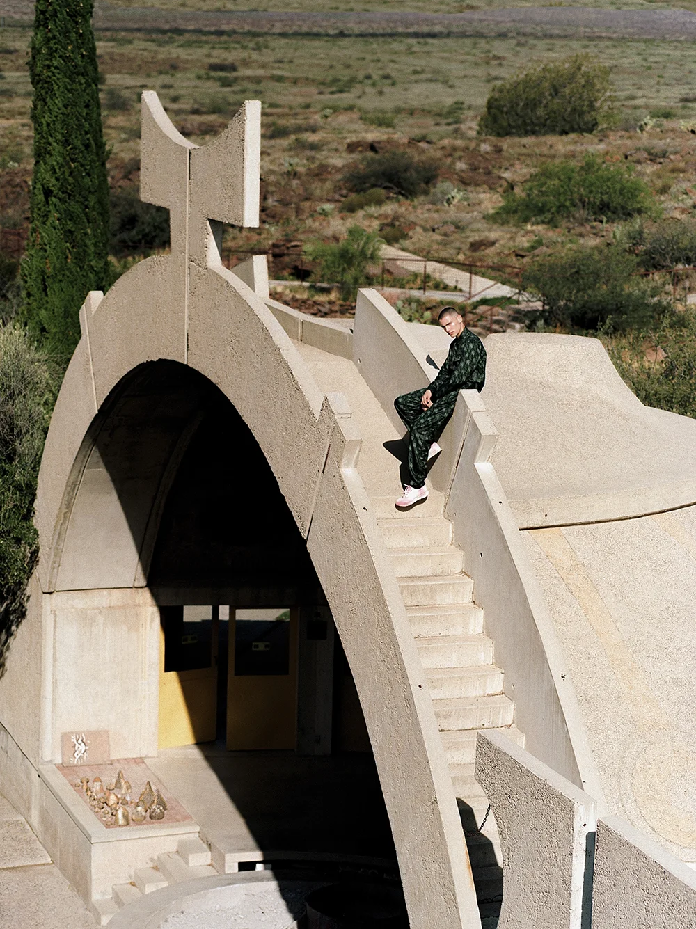 2_Arcosanti_Synchrodogs_sm.jpg
