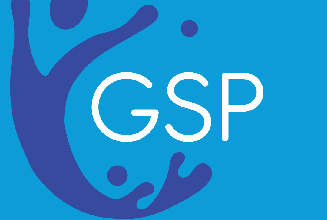 Granite State Pools Branding Package