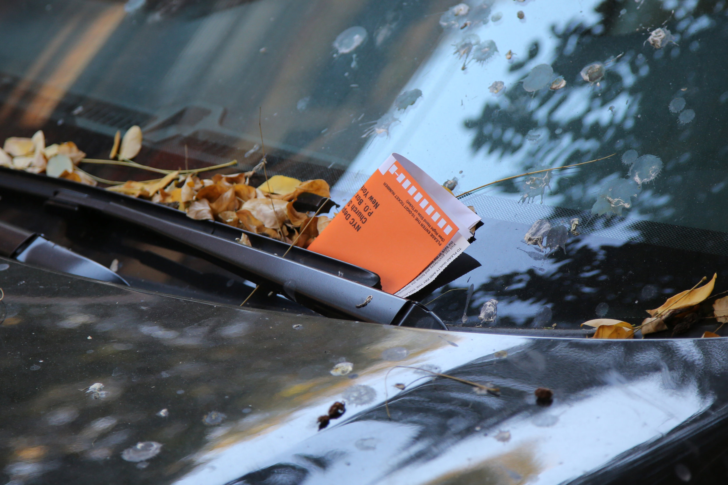 Parking Enforcement and Collection Professionals