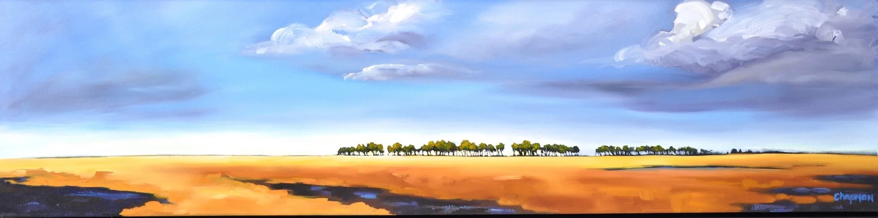 "Without End" (18" x 72") Oil on Canvas Wrap $2900 unframed Contact Gallery 421, Kelowna BC Available