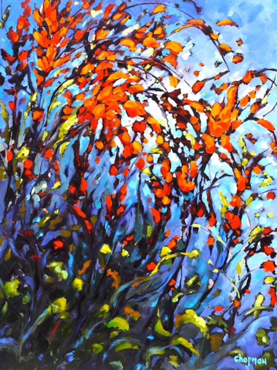 Mandarin Daydream