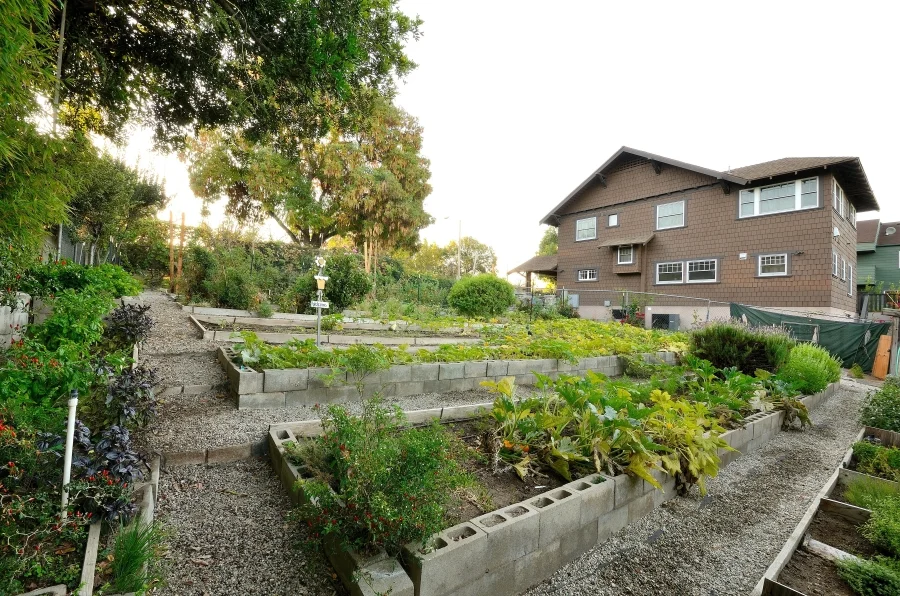 Parkway's Garden