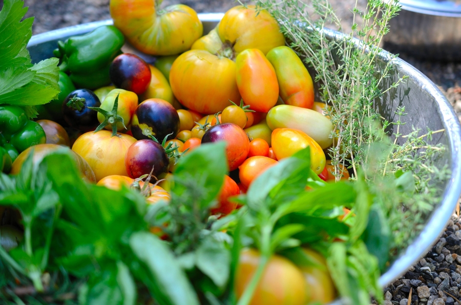 Bowl of Heirloom Tomatoes