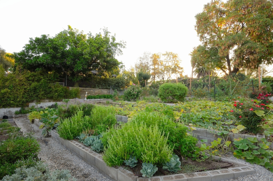 Parkway's Organic Garden