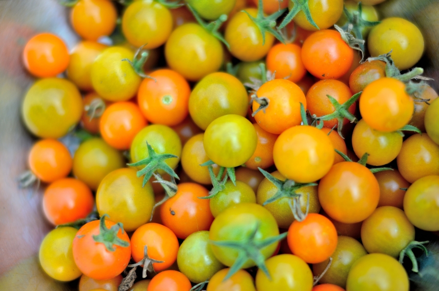 Heirloom Cherry Tomatoes