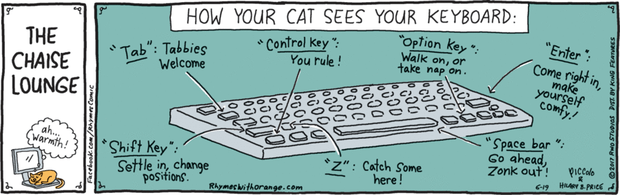 The first daily from the "refreshed" Rhymes With Orange... Cats are never rare in RWO!
