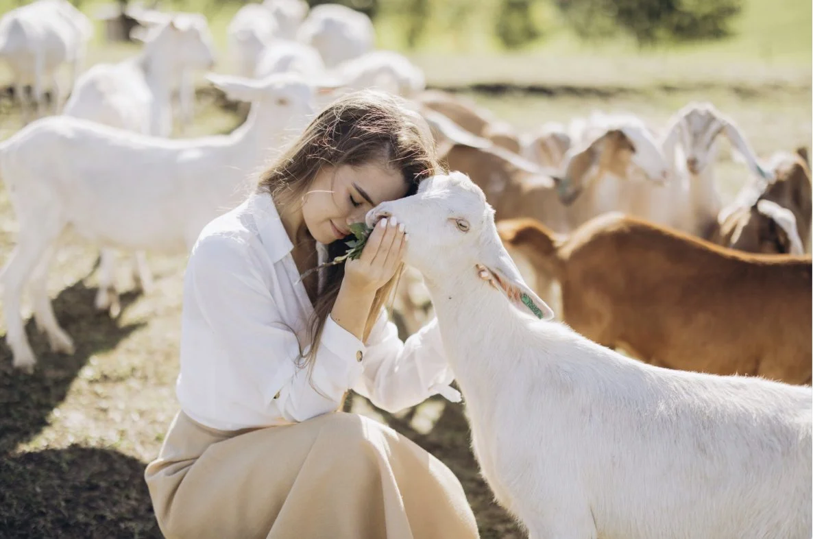 How to Rebuild Empathy in a World That Rewards Detachment