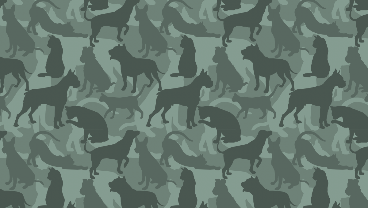 Cat-n-Dog Cammo-Green.png