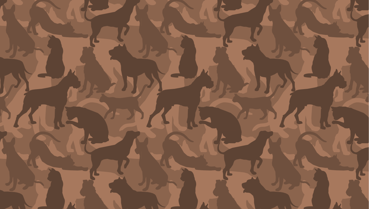Cat-n-Dog Cammo-Orange.png