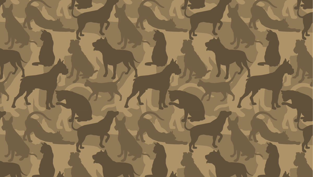Cat-n-Dog Cammo-Yellow.png