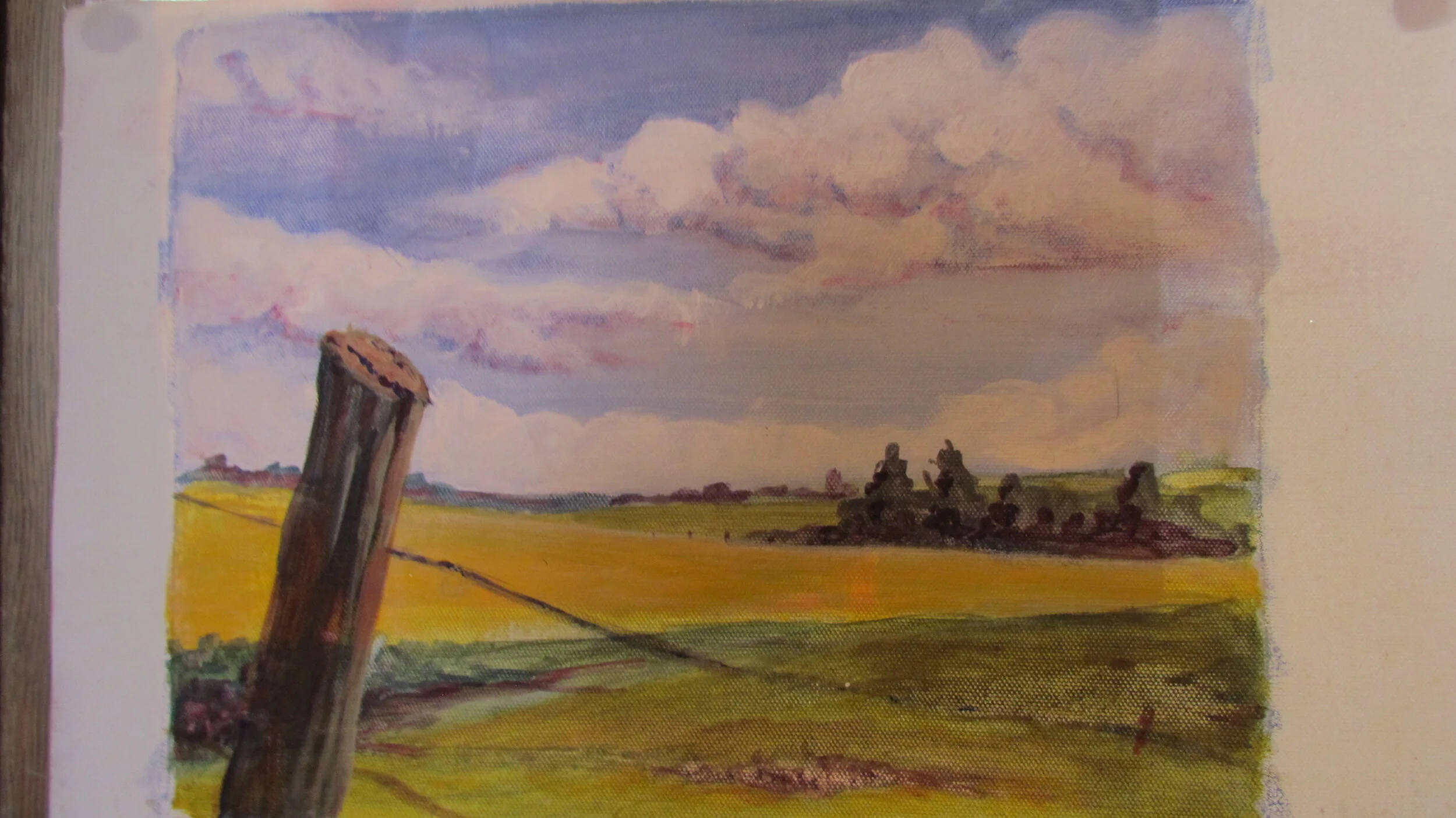 Beginner/Intermediate Watercolours