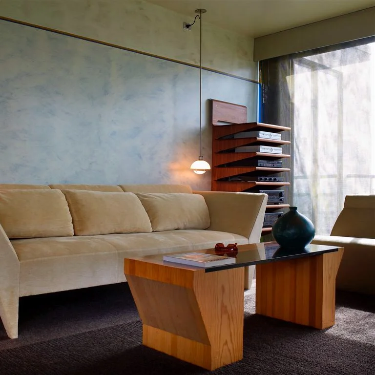 gorelik+couch.jpg