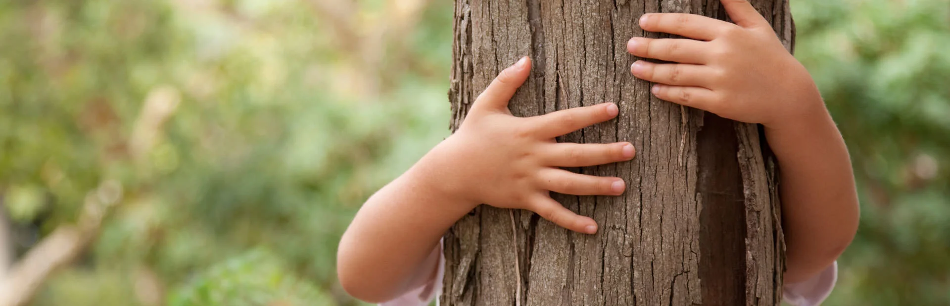 дерево дающее детей. сохрани дерево. посадка деревьев. дерево дающее детей. дети сажают деревья.