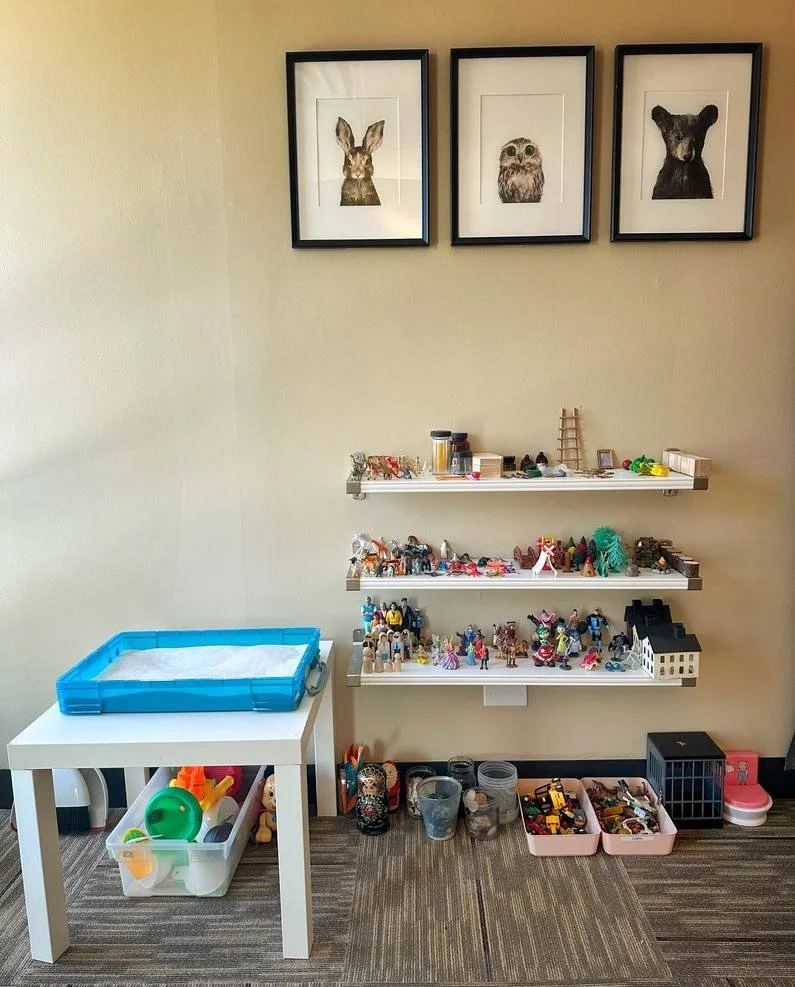 Display of three framed animal illustrations above white shelves filled with various toys and figurines, with additional toys and containers on the floor and table in a children's playroom.