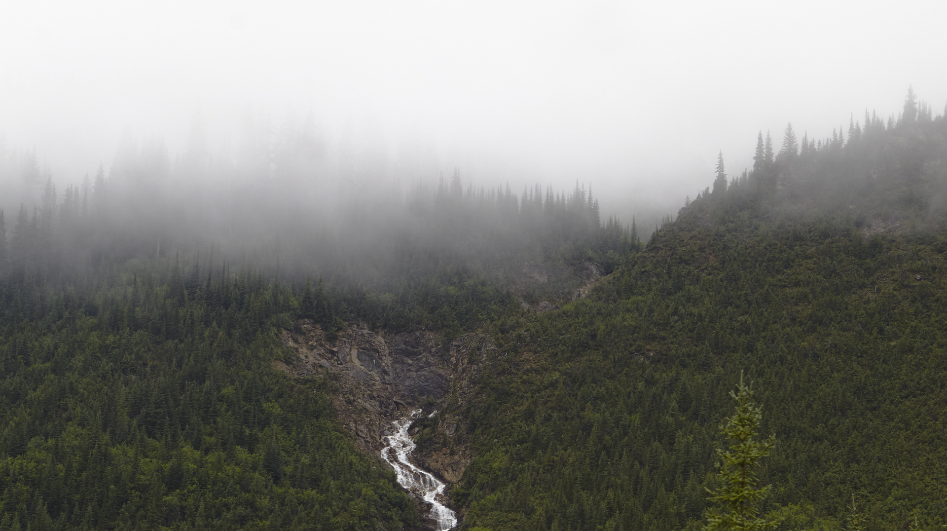 Summer2015-BC-AB-1005-2.jpg