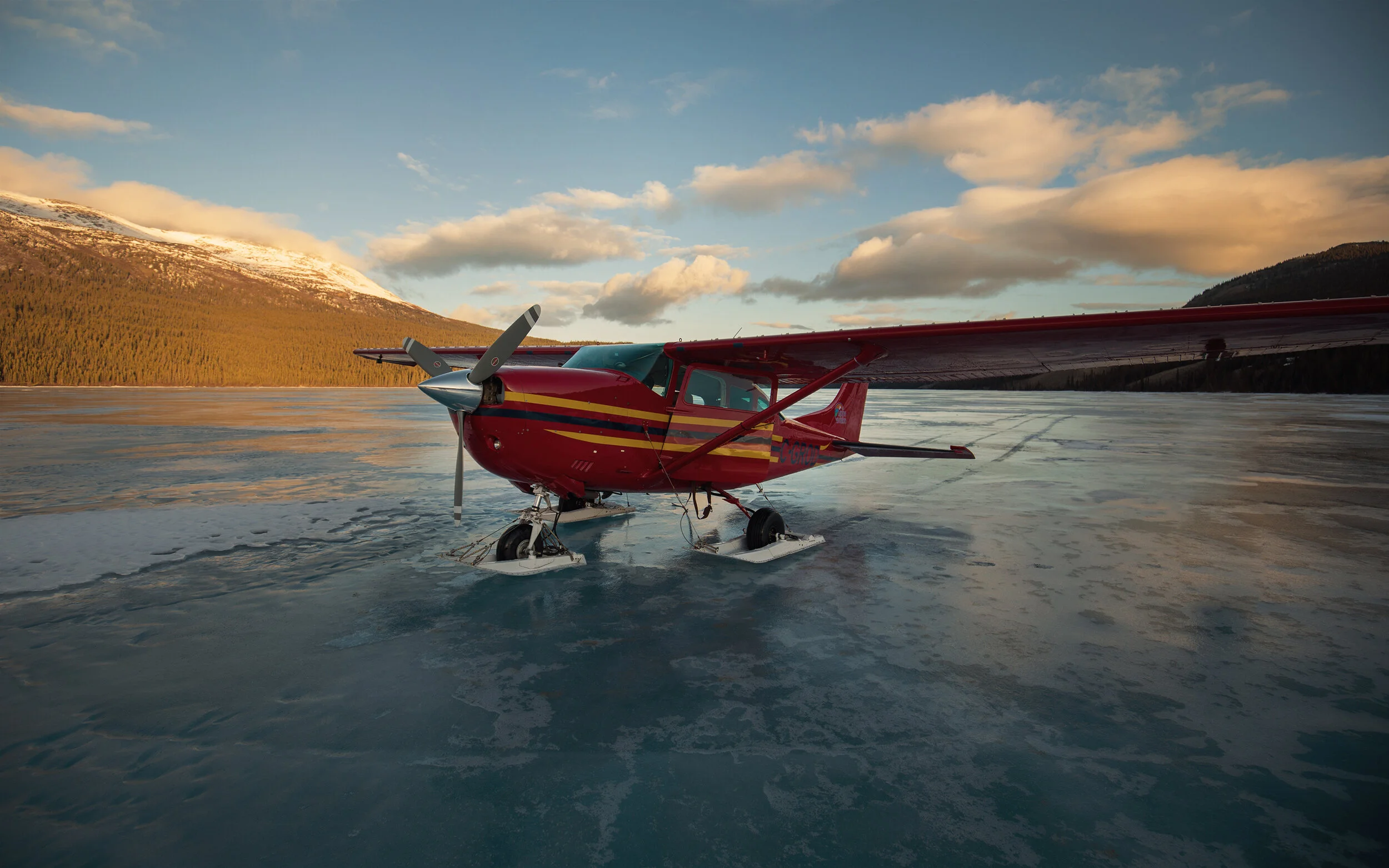 Trustin Timber - FloatPlane copy.jpg