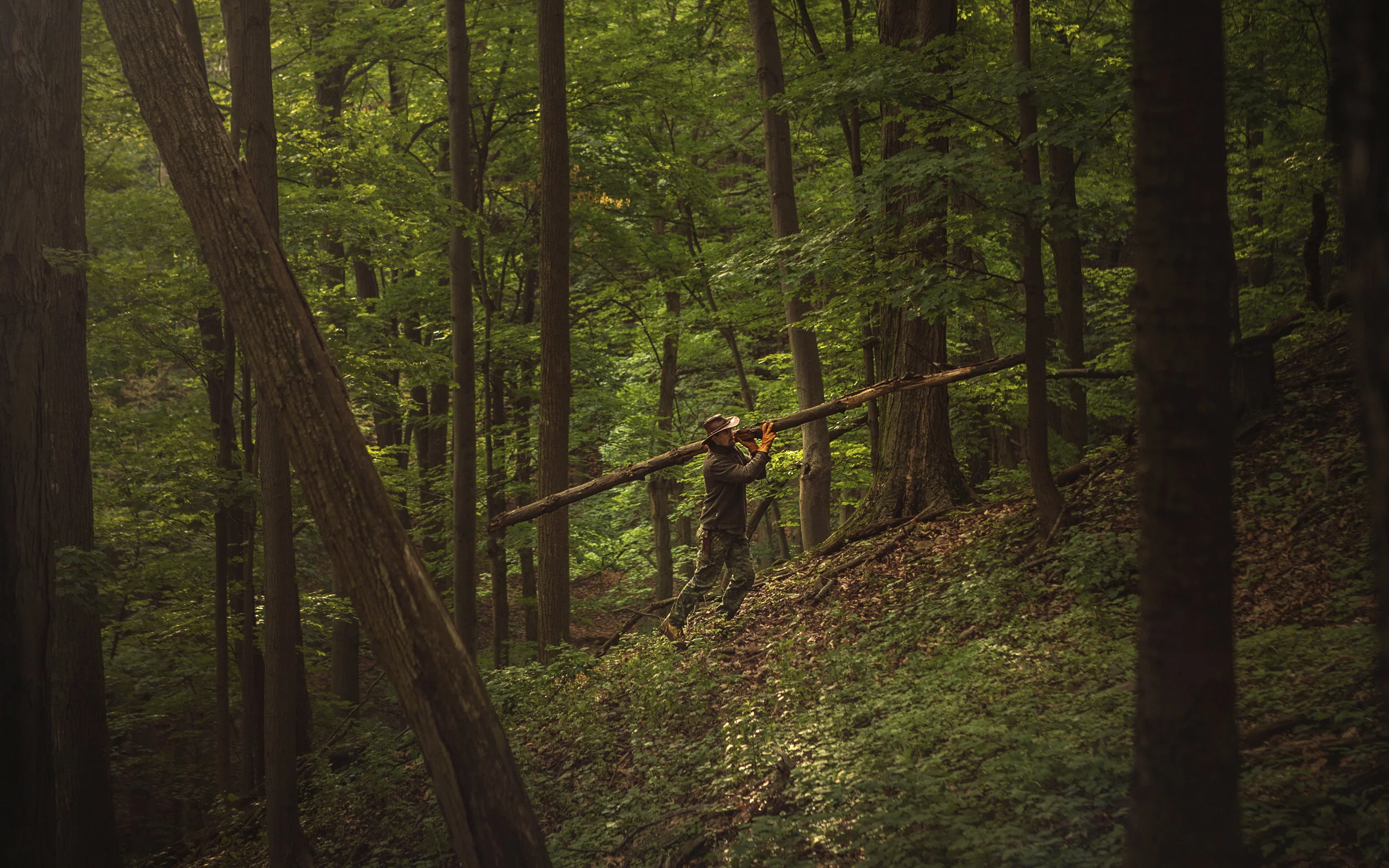 Trustin Timber - Danner -14.jpg