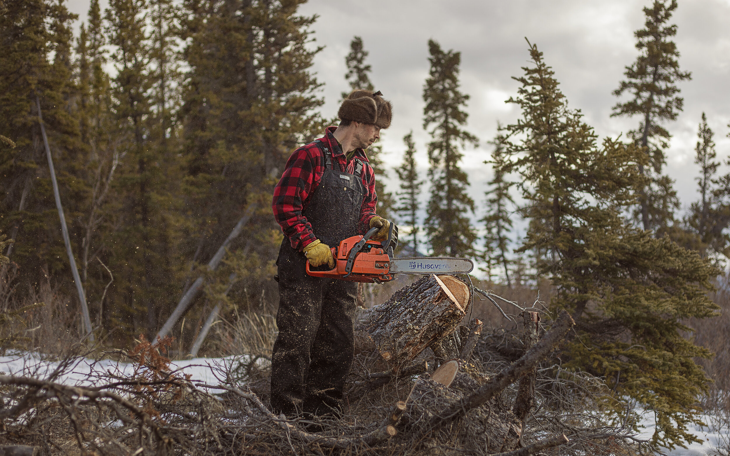 Trutintin Timber -Husq-Yukon-Cabin-Chainsaw02 copy.jpg