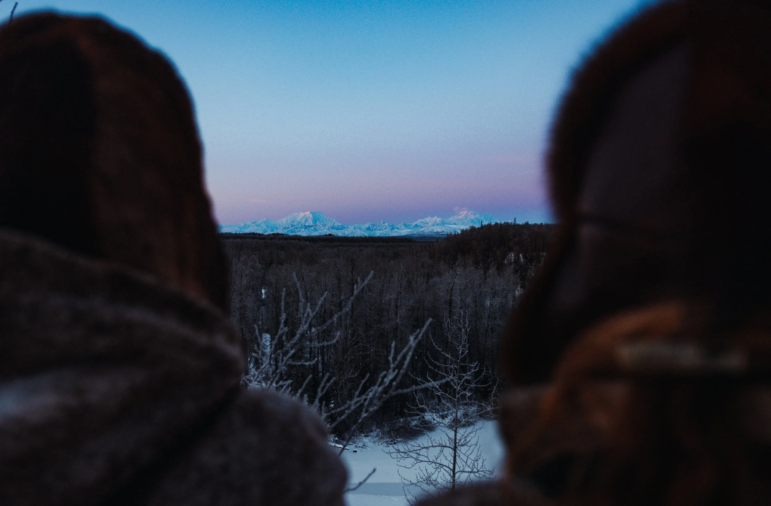 Alaska Mountains-0447.jpg