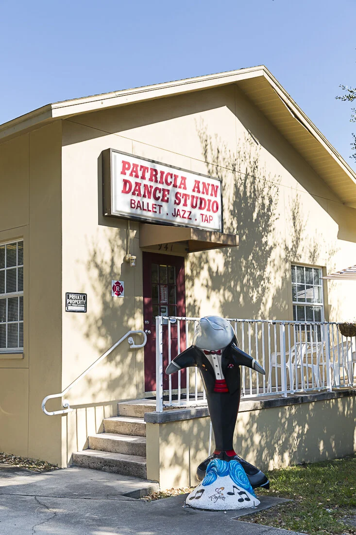 dance studio programs on Patricia Ann Dance Studios