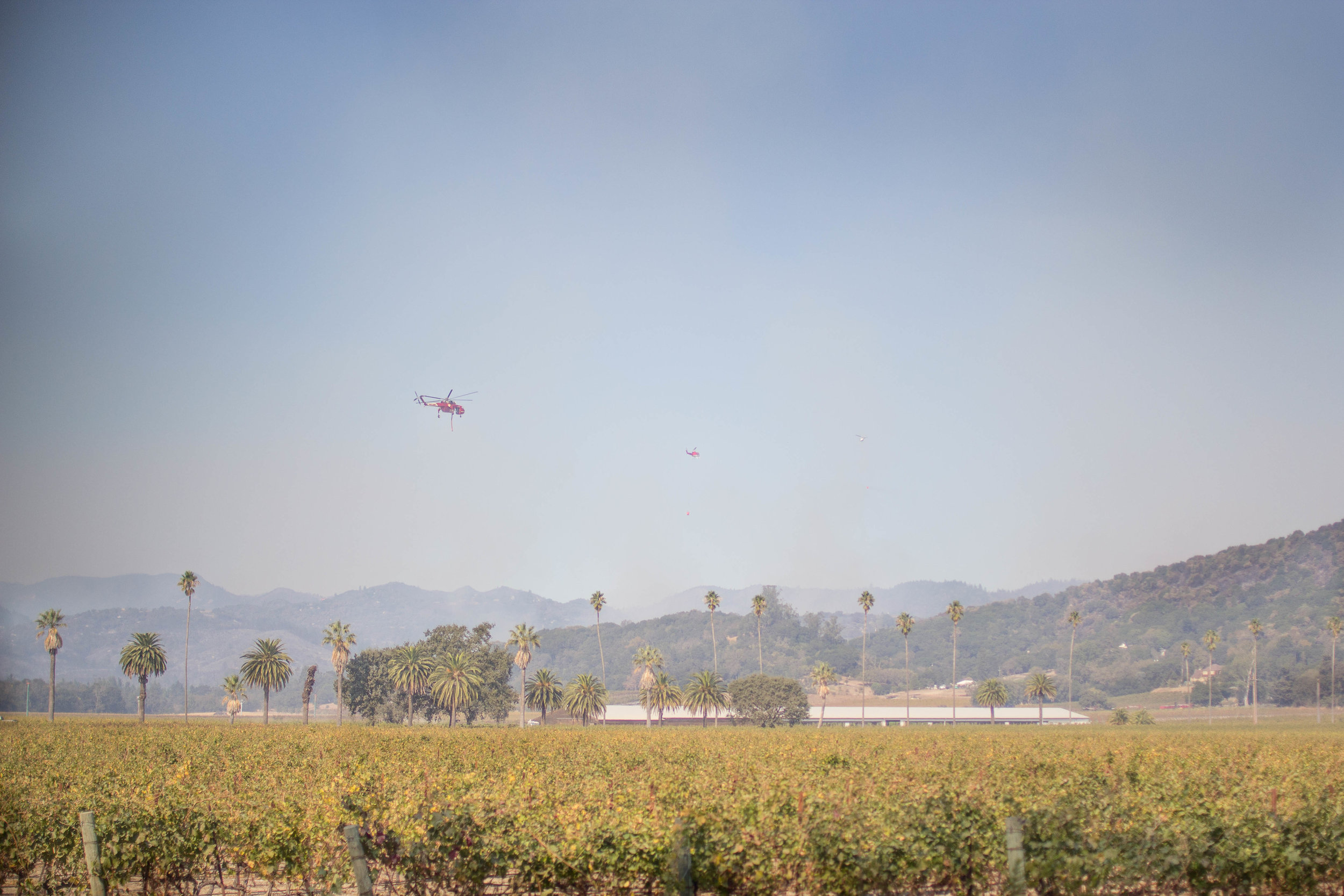 Air Support Above Gundlach Bundschu, 10/14