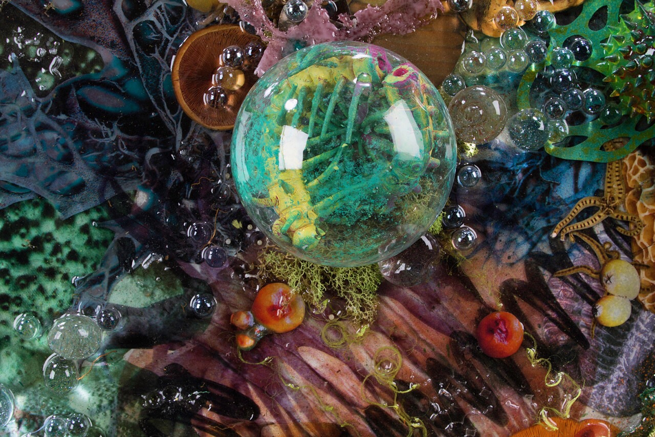 5. Subjective Perceptions_detail1.JPG