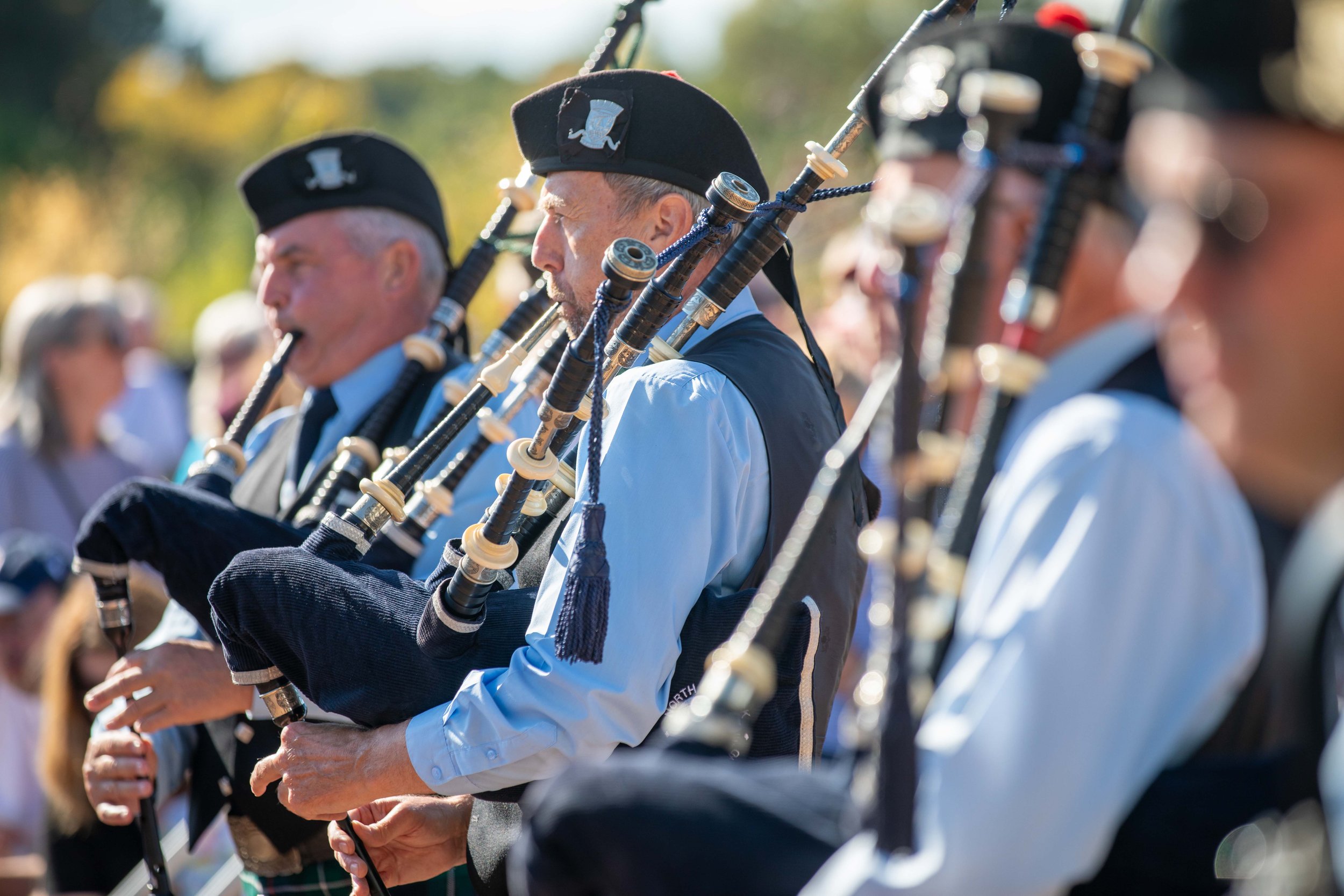 Hops in the garden 2023-11.jpg