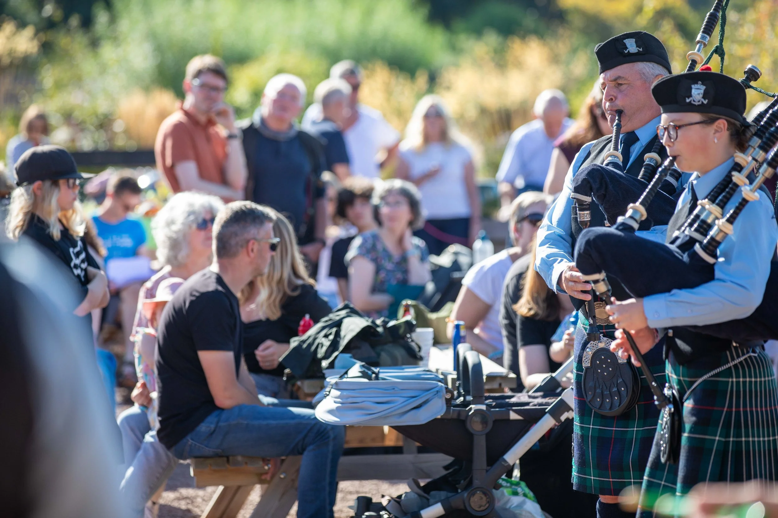 Hops in the garden 2023-28.jpg