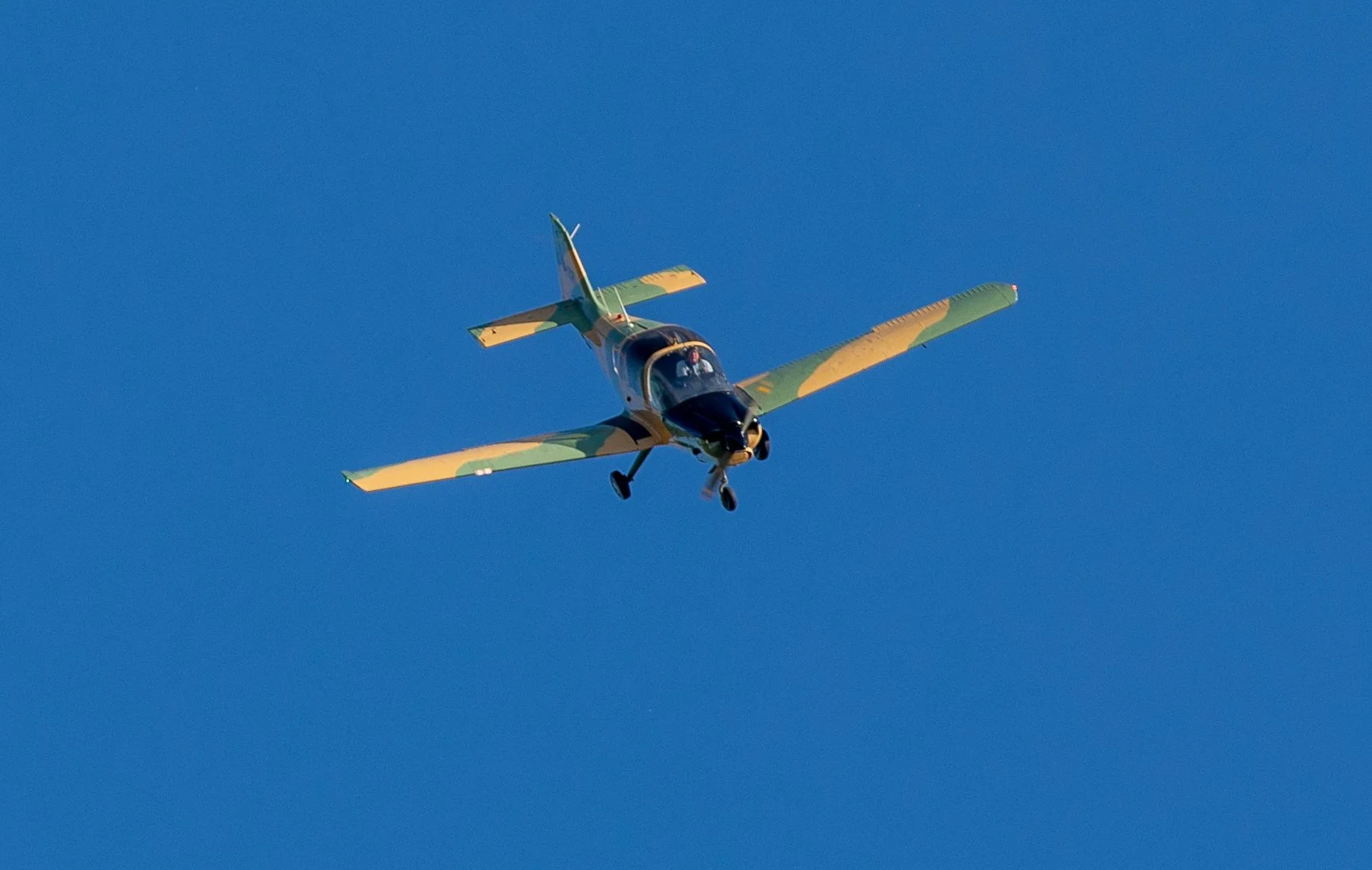 Hops in the garden 2023-29.jpg