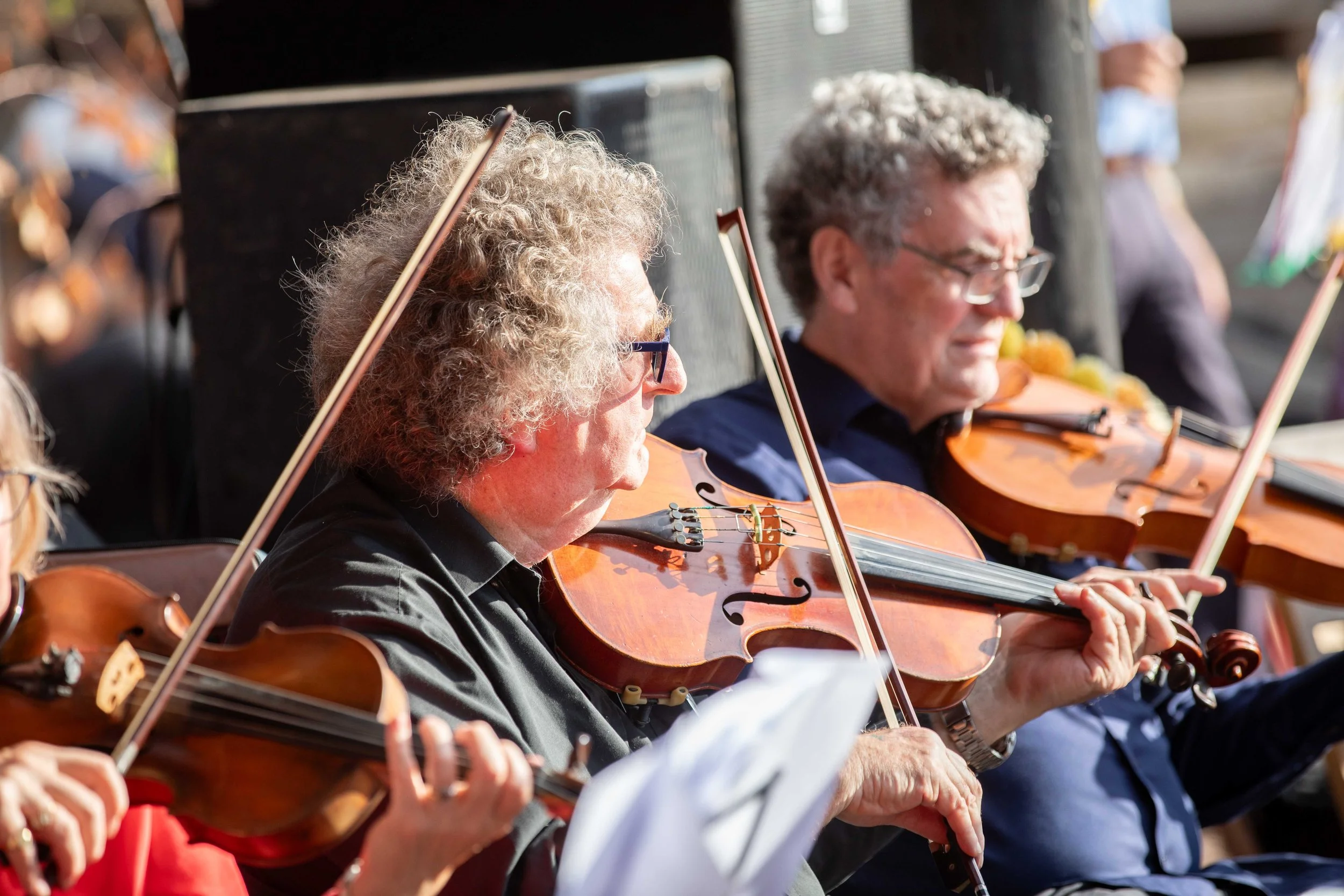 Hops in the garden 2023-166.jpg