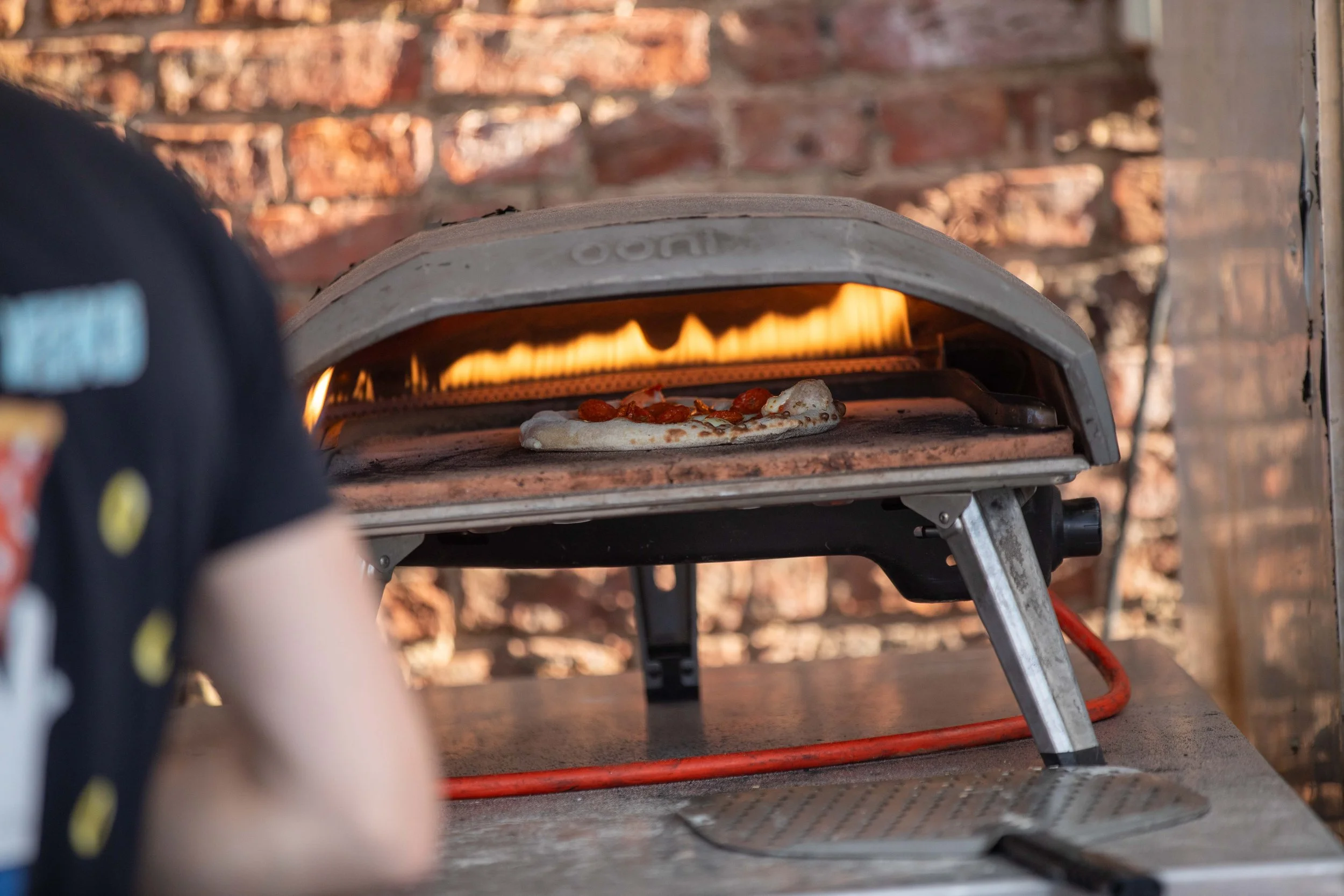 Hops in the garden 2023-4.jpg