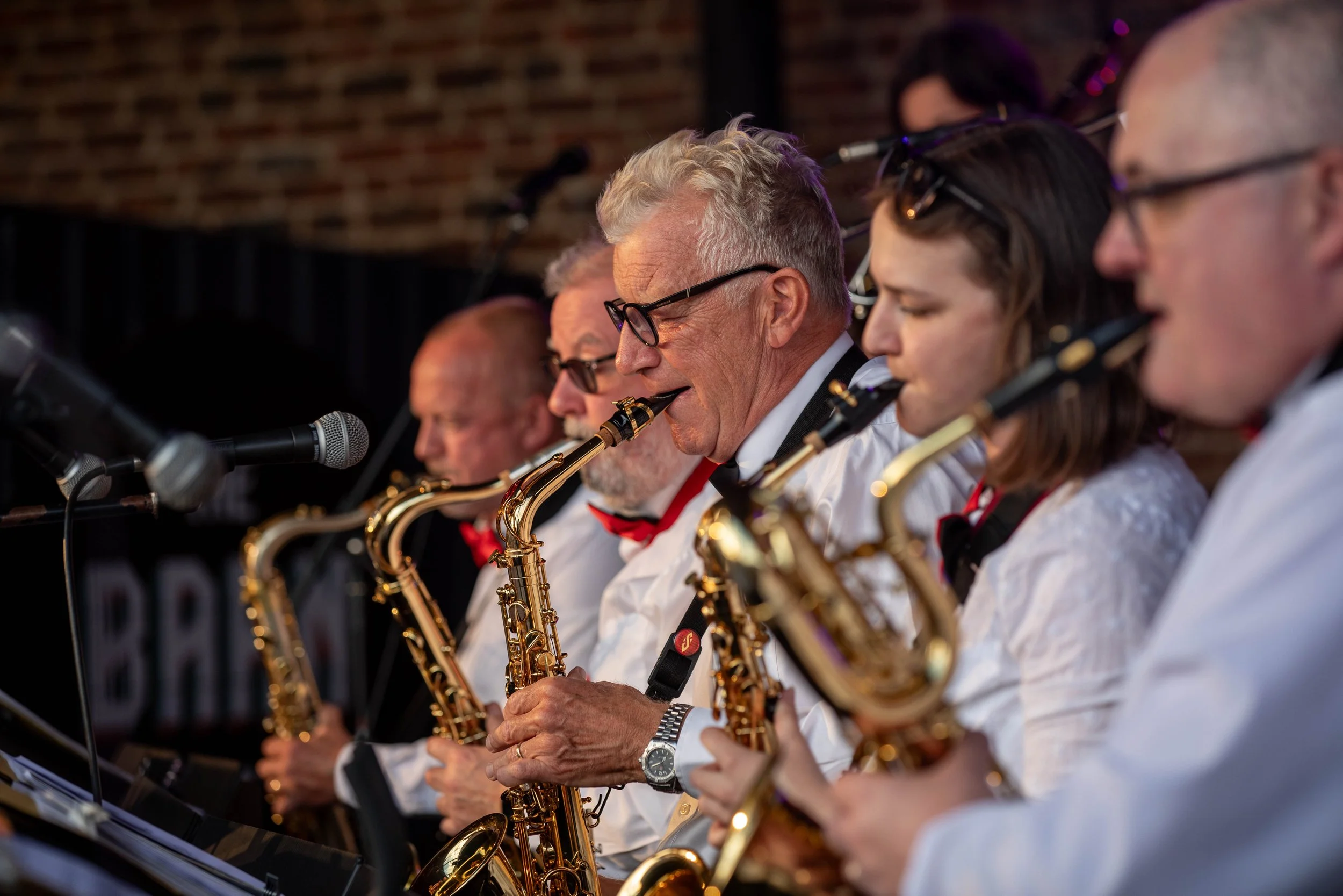 Hops in the garden 2023-74.jpg