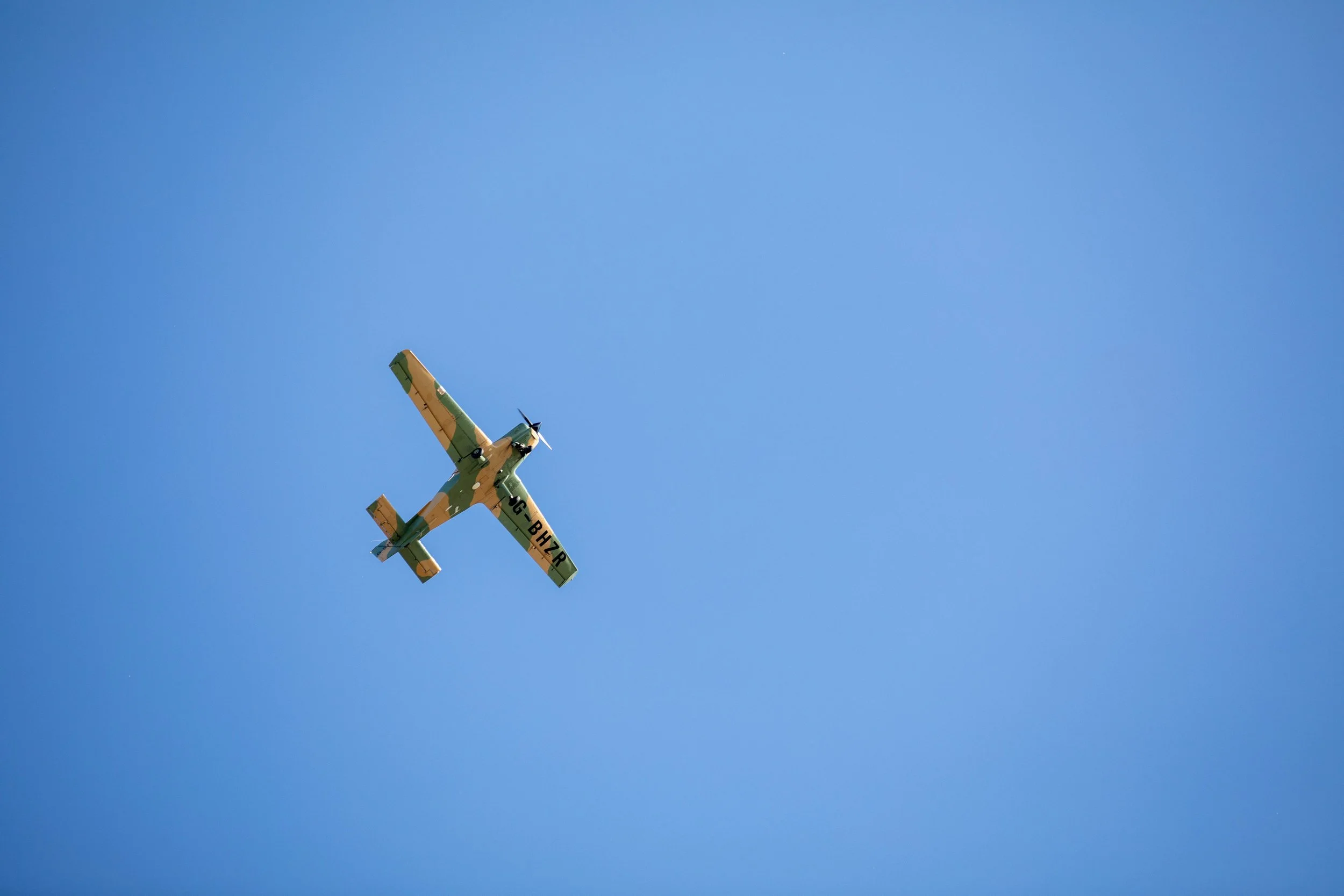 Hops in the garden 2023-2.jpg