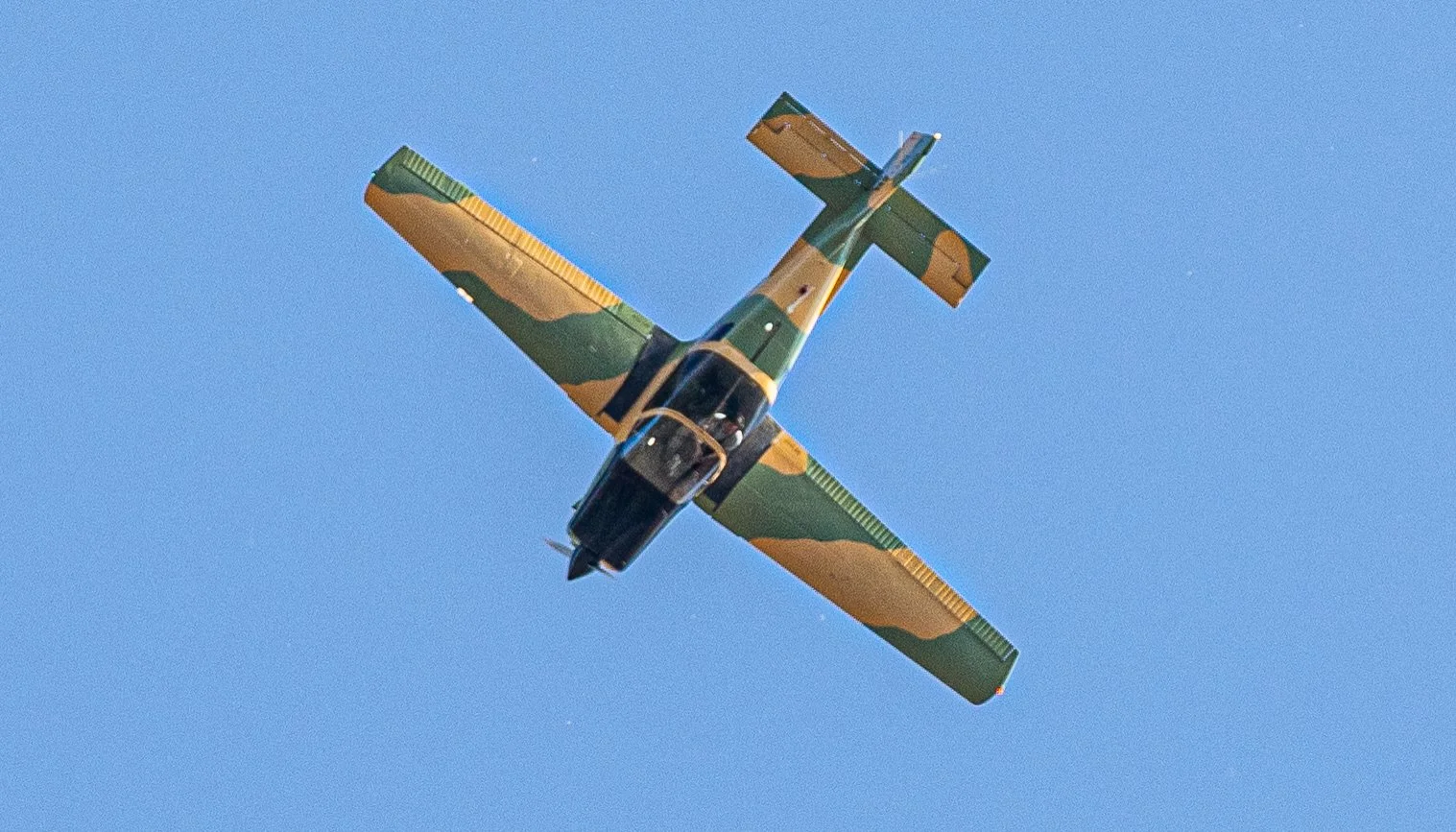 Hops in the garden 2023-3.jpg