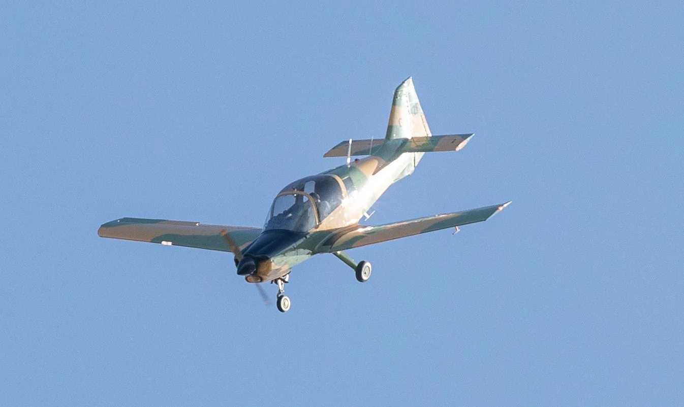 Hops in the garden 2023-4.jpg