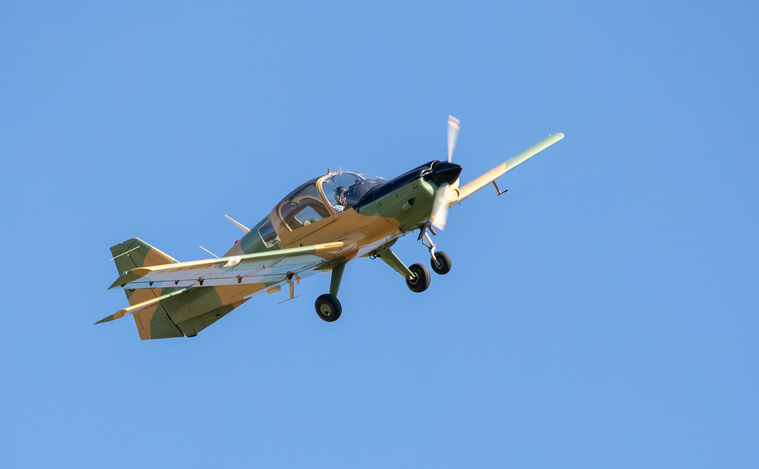 Hops in the garden 2023-6.jpg