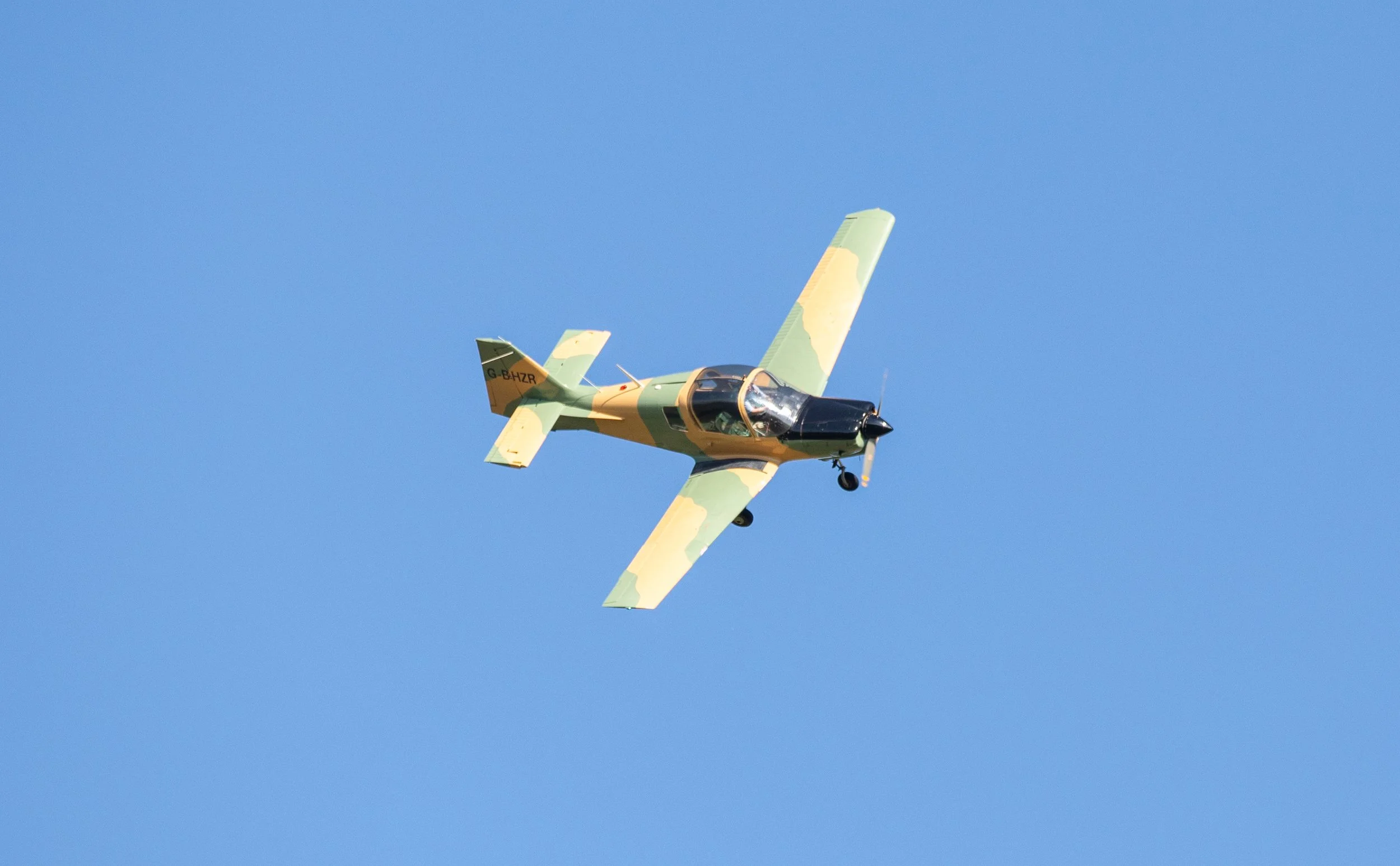 Hops in the garden 2023-8.jpg