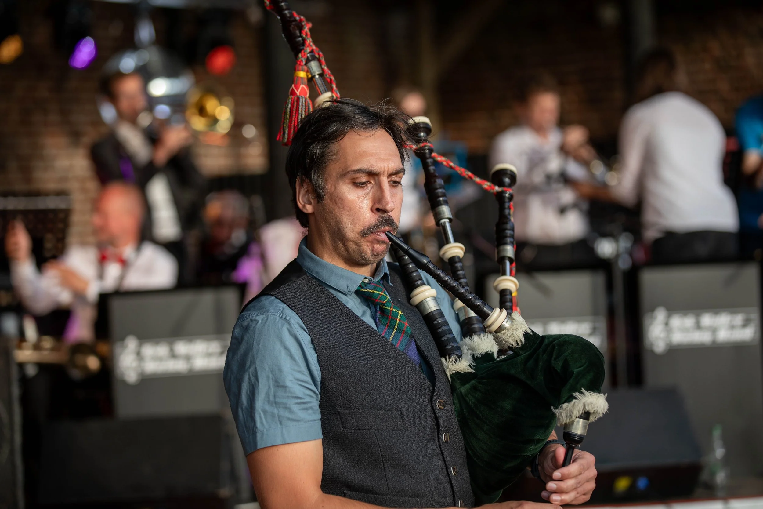 Hops in the garden 2023-2.jpg