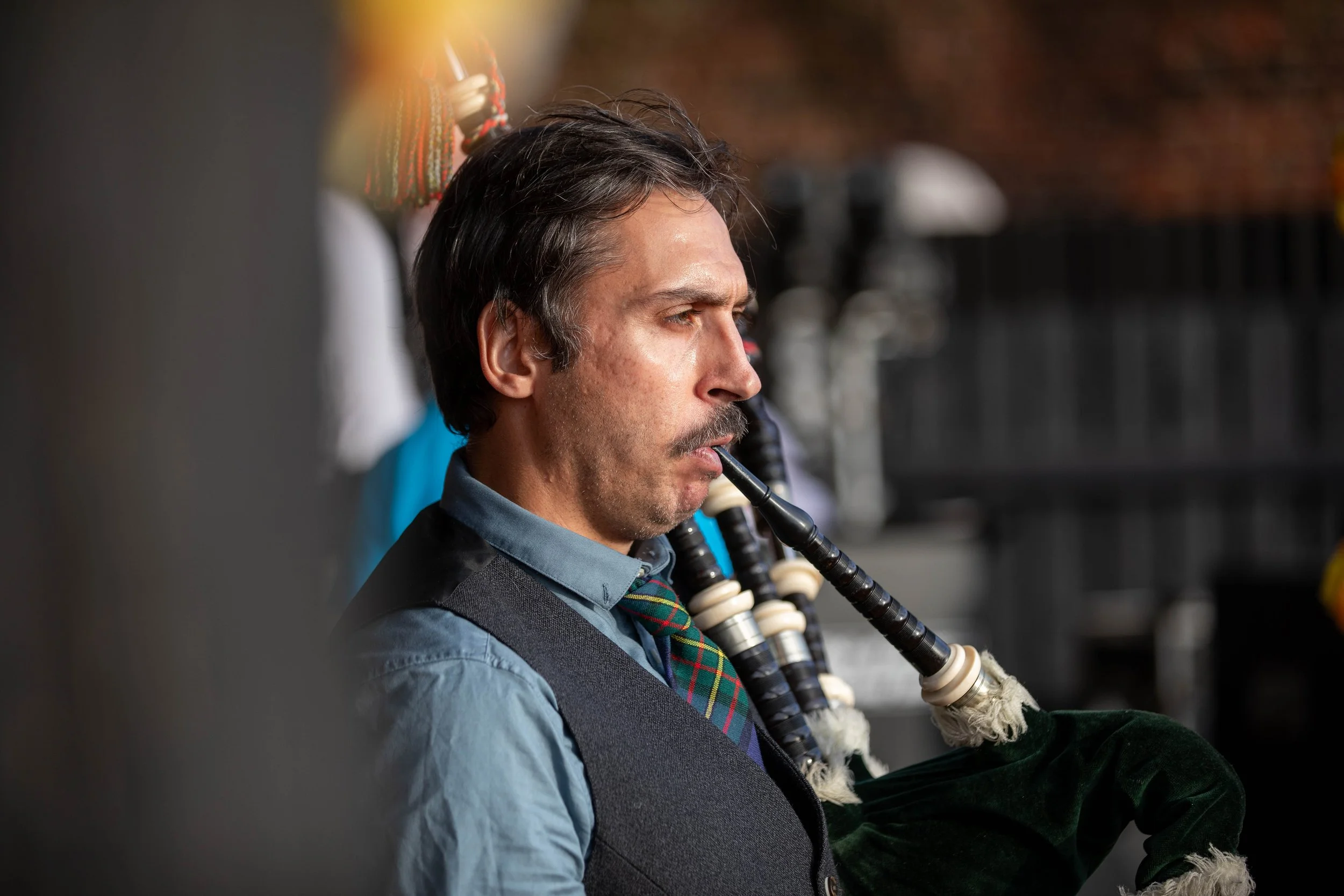 Hops in the garden 2023-7.jpg