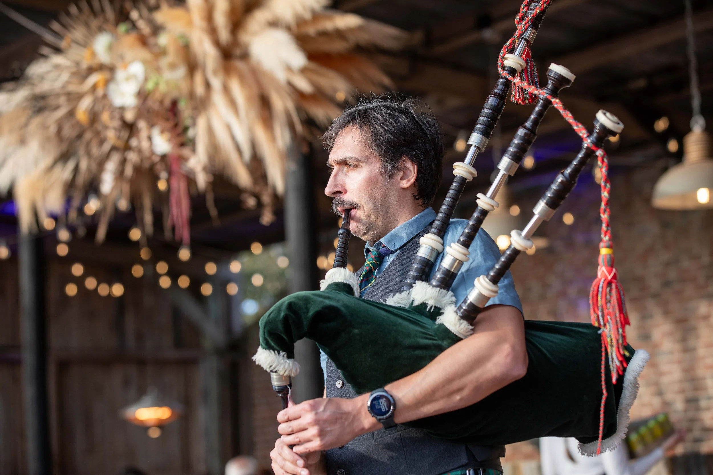 Hops in the garden 2023-10.jpg