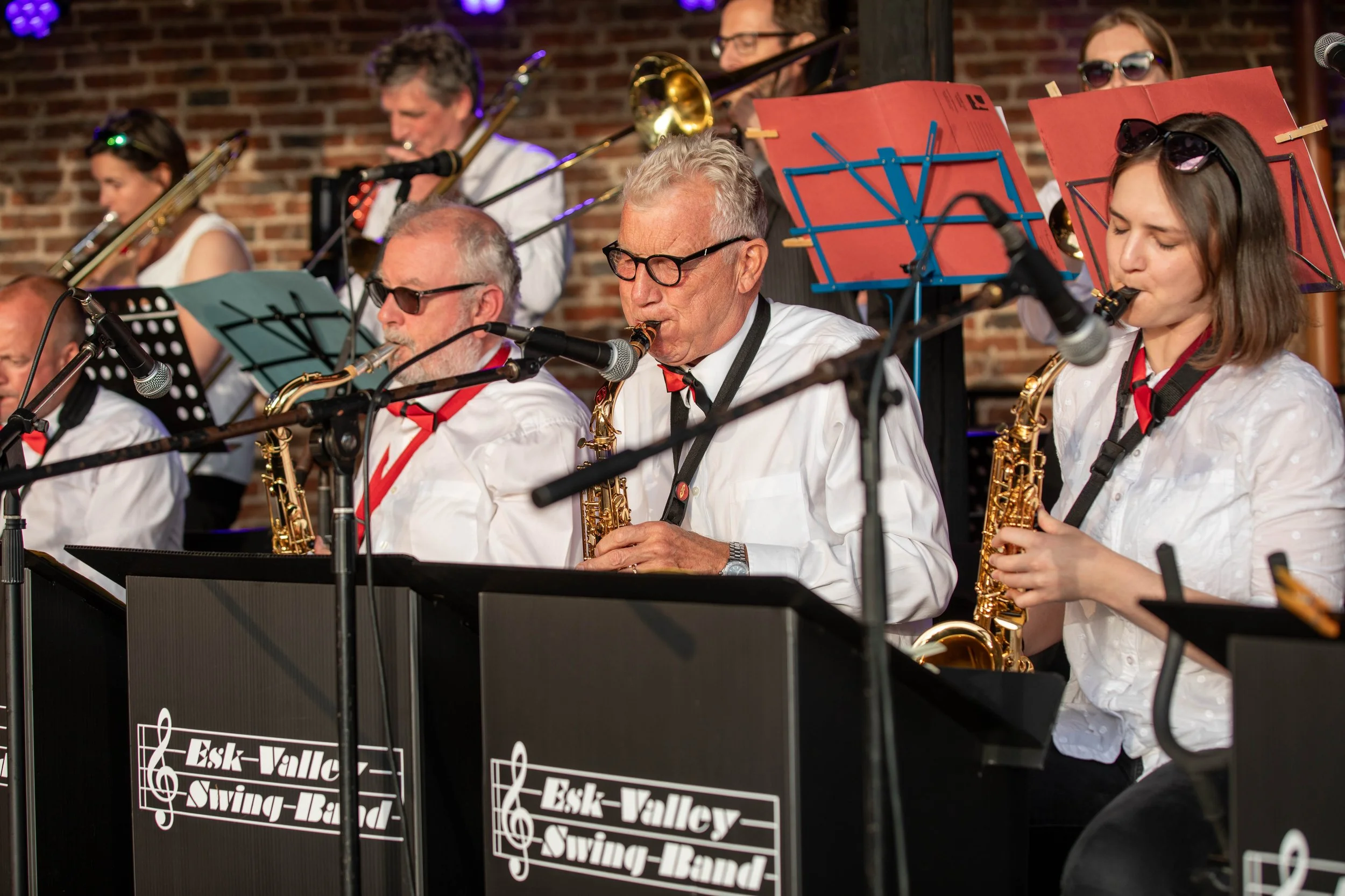 Hops in the garden 2023-19.jpg